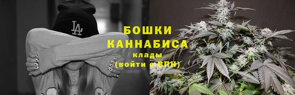 прущие грибы Аркадак