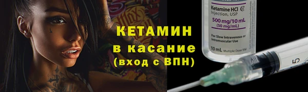 прущие грибы Аркадак