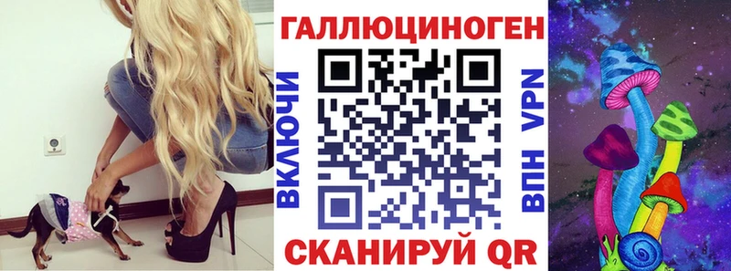 KRAKEN как зайти  как найти   Каргополь  Псилоцибиновые грибы Magic Shrooms 